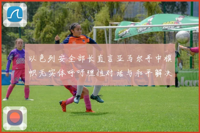 以色列安全部长直言亚马尔手中旗帜无实体呼吁理性对话与和平解决方案