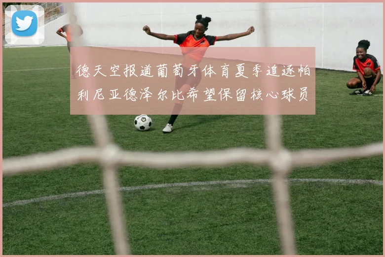 德天空报道葡萄牙体育夏季追逐帕利尼亚德泽尔比希望保留核心球员